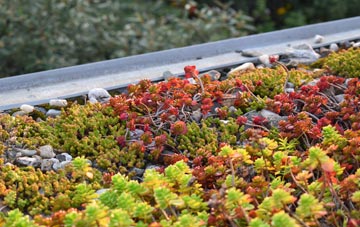 the cost of Belle Eau Park green roof installation