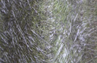 Belle Eau Park fibreglass roof work